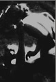 The Book of Lilith a Sample