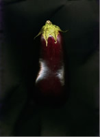 Food Portraits