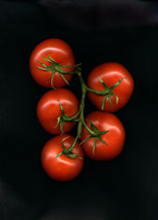 Food Portraits