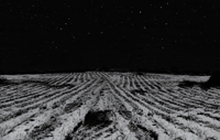 Landscapes Series
