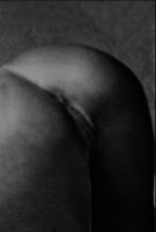 Nudes by Howard Meister