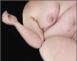 Nudes by Howard Meister