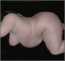 Nudes by Howard Meister