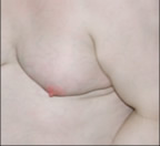 Nudes by Howard Meister