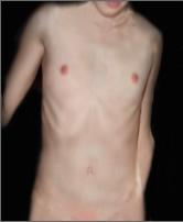 Nudes by Howard Meister