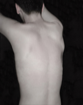 Nudes by Howard Meister