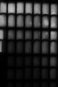 The Palace Series