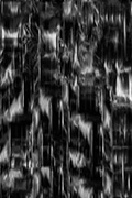 The Palace Series