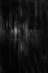 The Palace Series