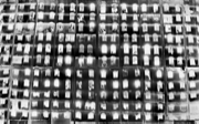 The Palace Series