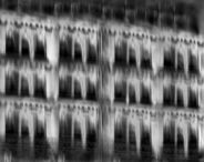 The Palace Series